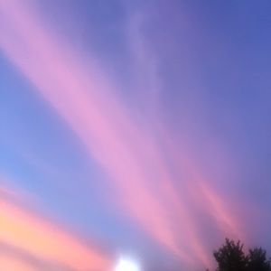 Meet your Posher, Marjorie